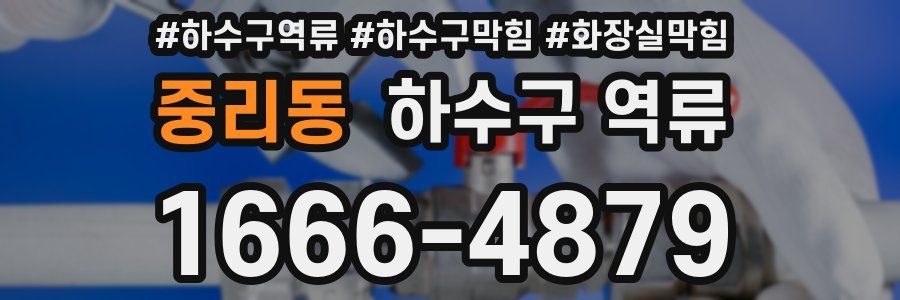 중리동 하수구 역류