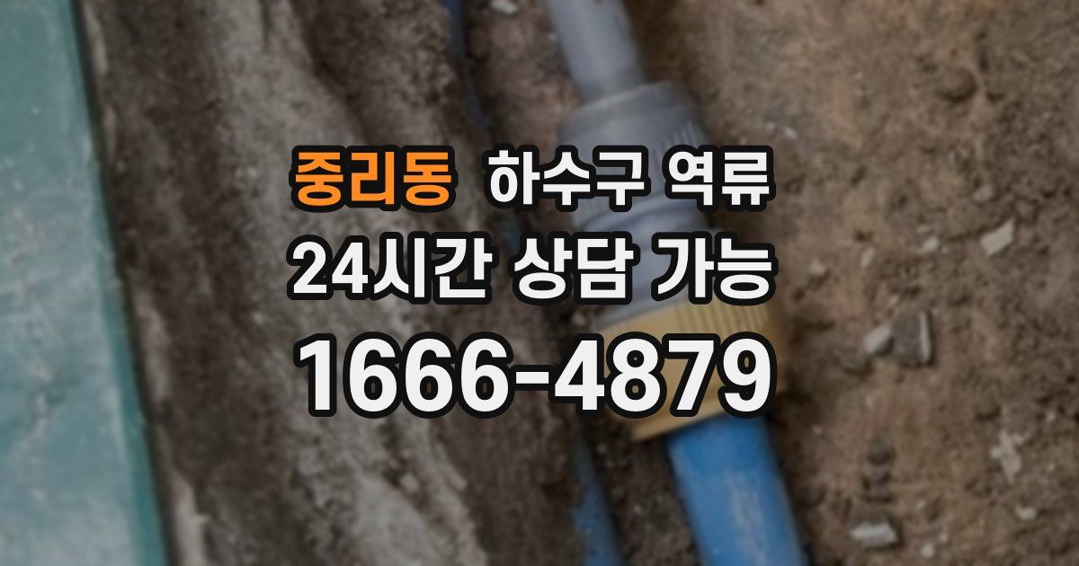 중리동 하수구 역류