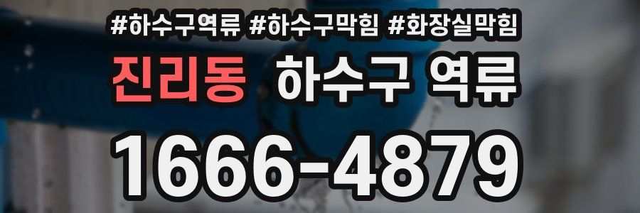 진리동 하수구 역류