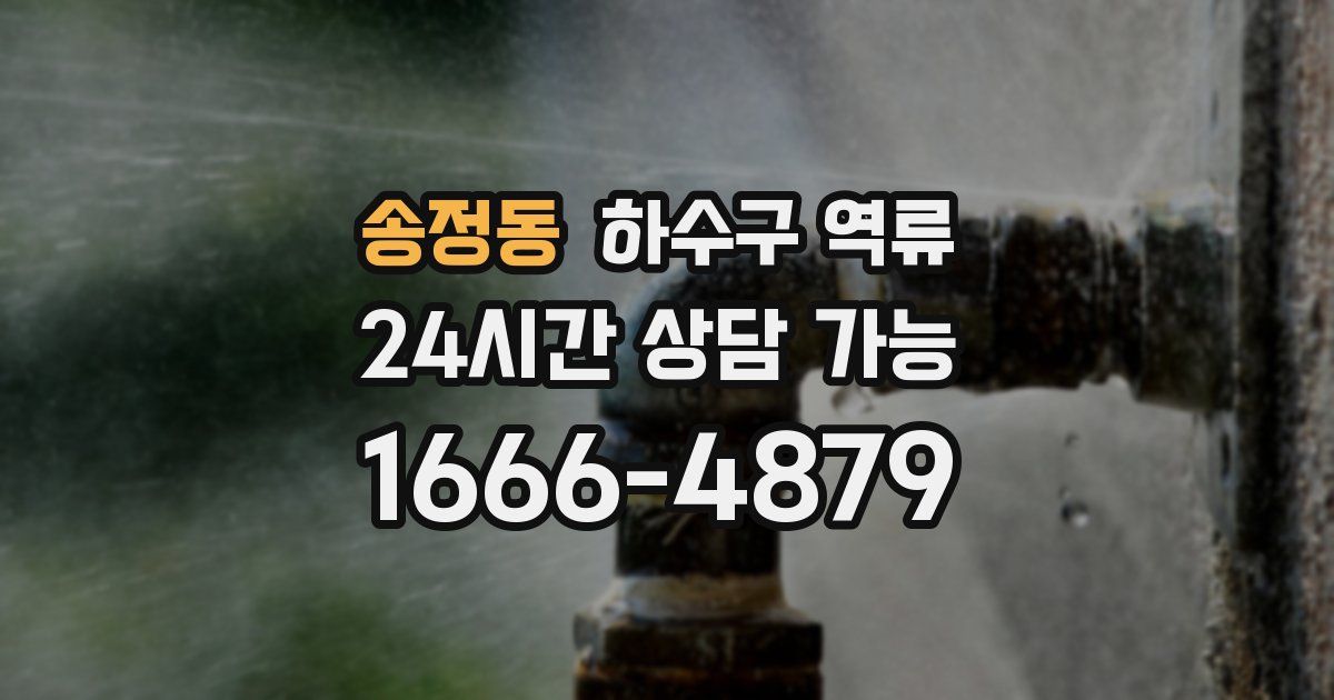 송정동 하수구 역류