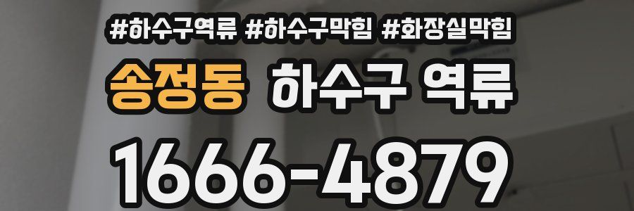 송정동 하수구 역류