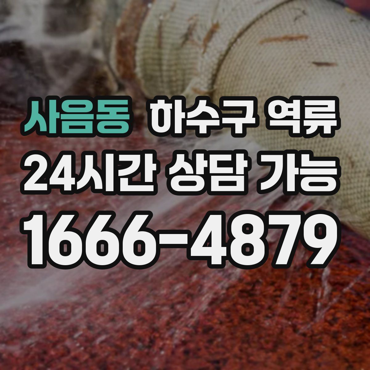 사음동 하수구 역류