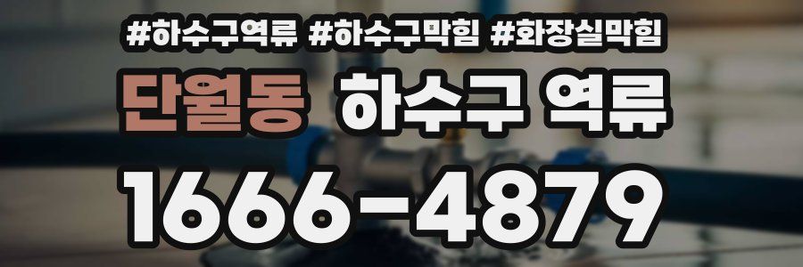 단월동 하수구 역류