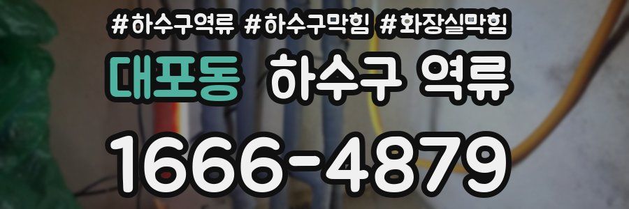 대포동 하수구 역류