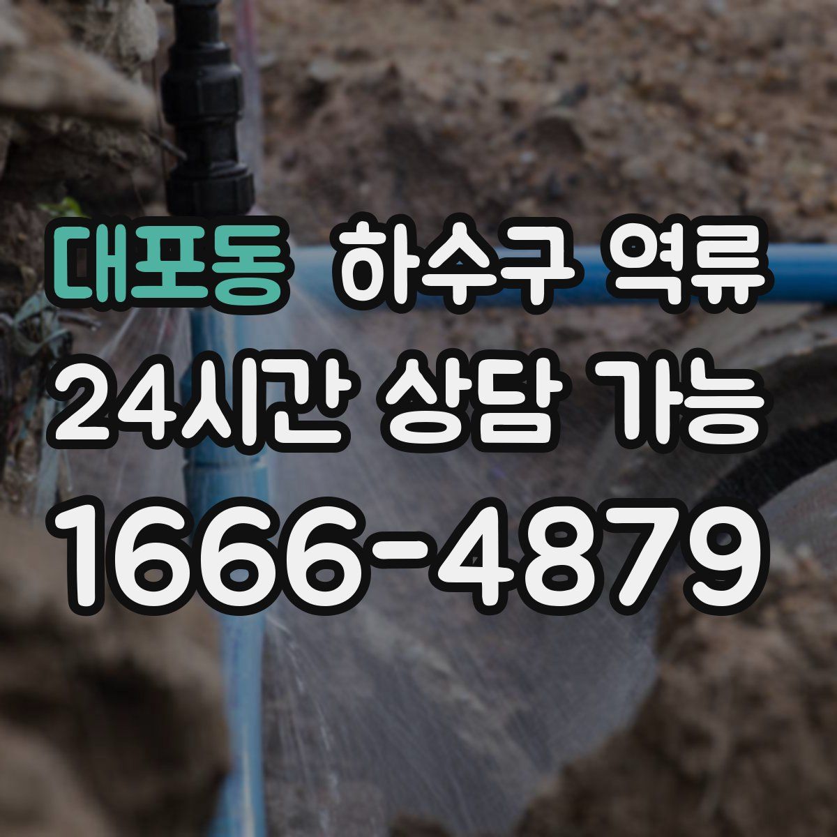 대포동 하수구 역류