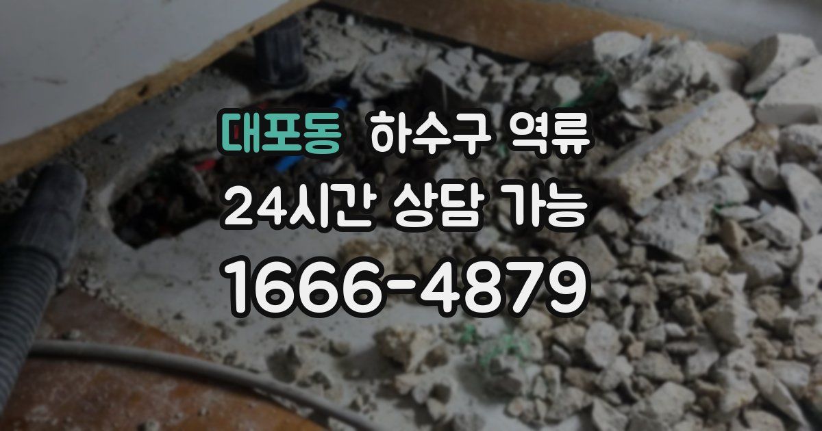 대포동 하수구 역류