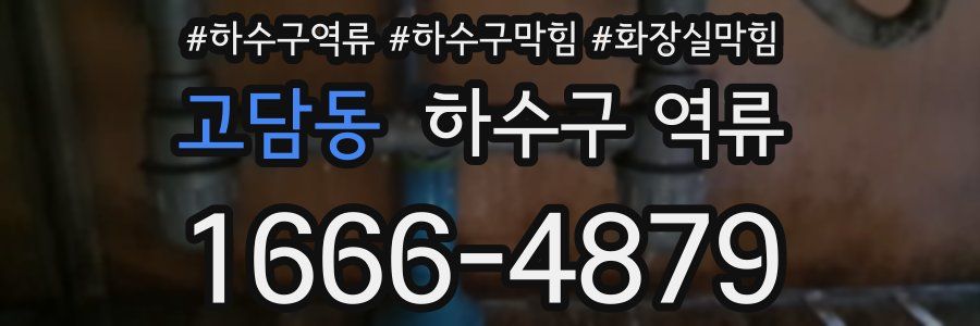 고담동 하수구 역류
