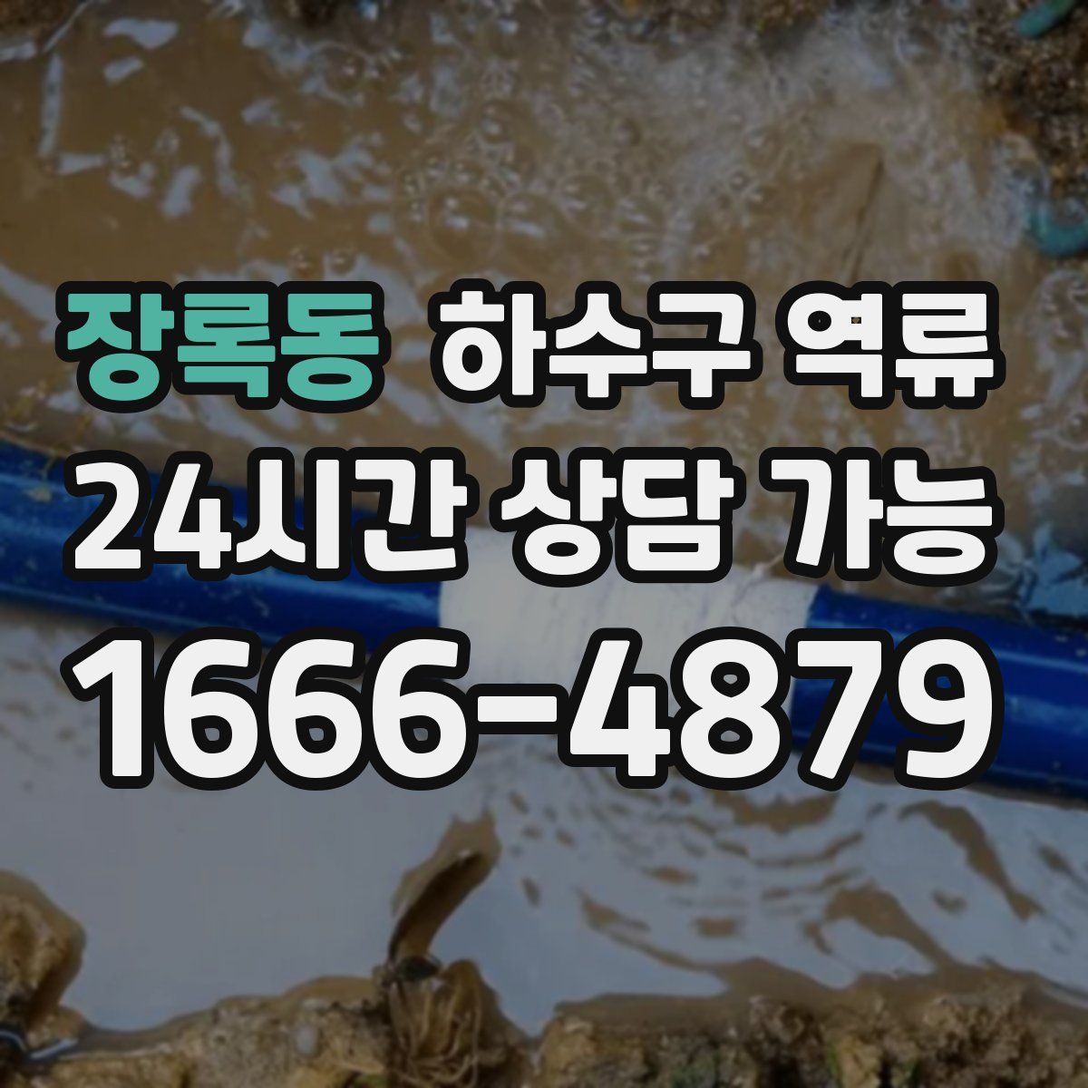 장록동 하수구 역류