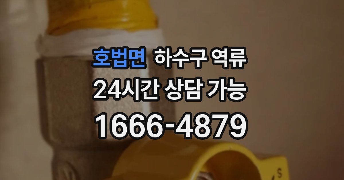 호법면 하수구 역류