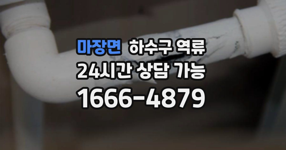 마장면 하수구 역류