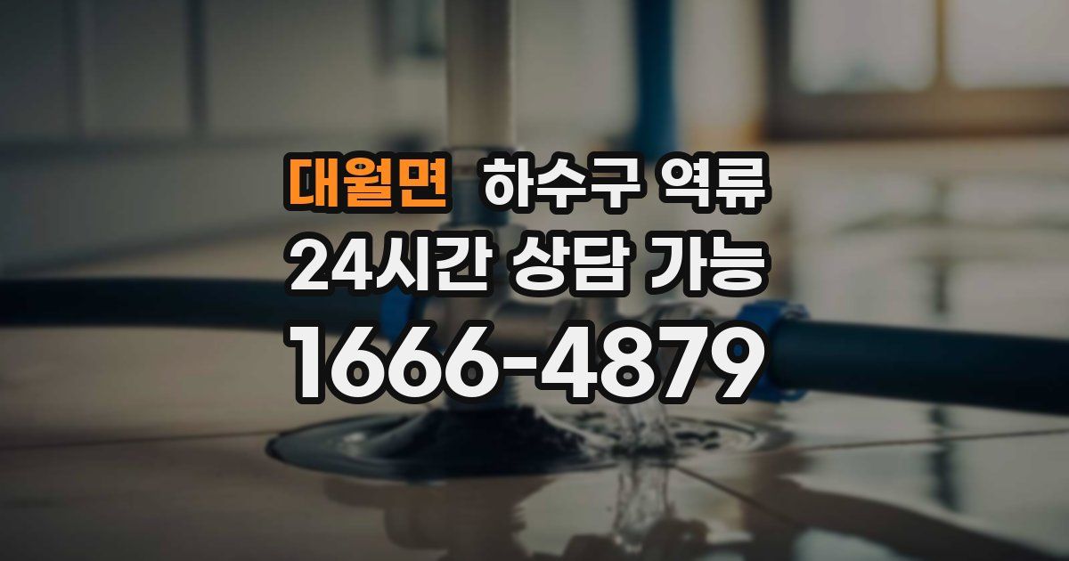 대월면 하수구 역류