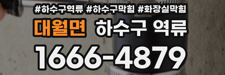 대월면 하수구 역류
