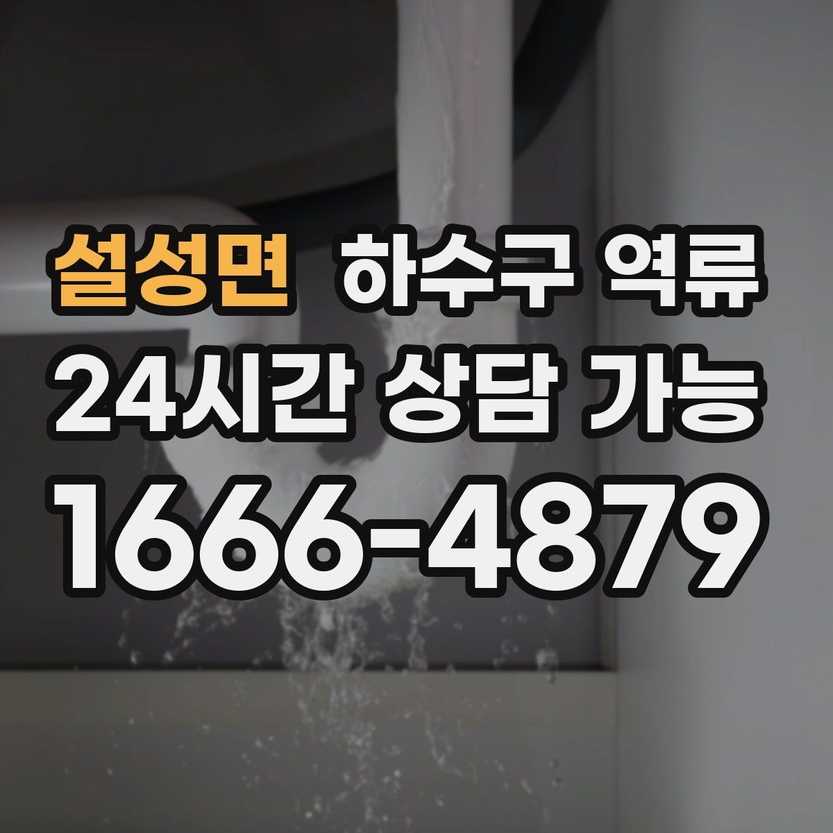 설성면 하수구 역류