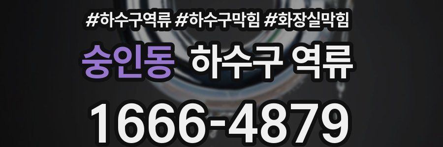 숭인동 하수구 역류