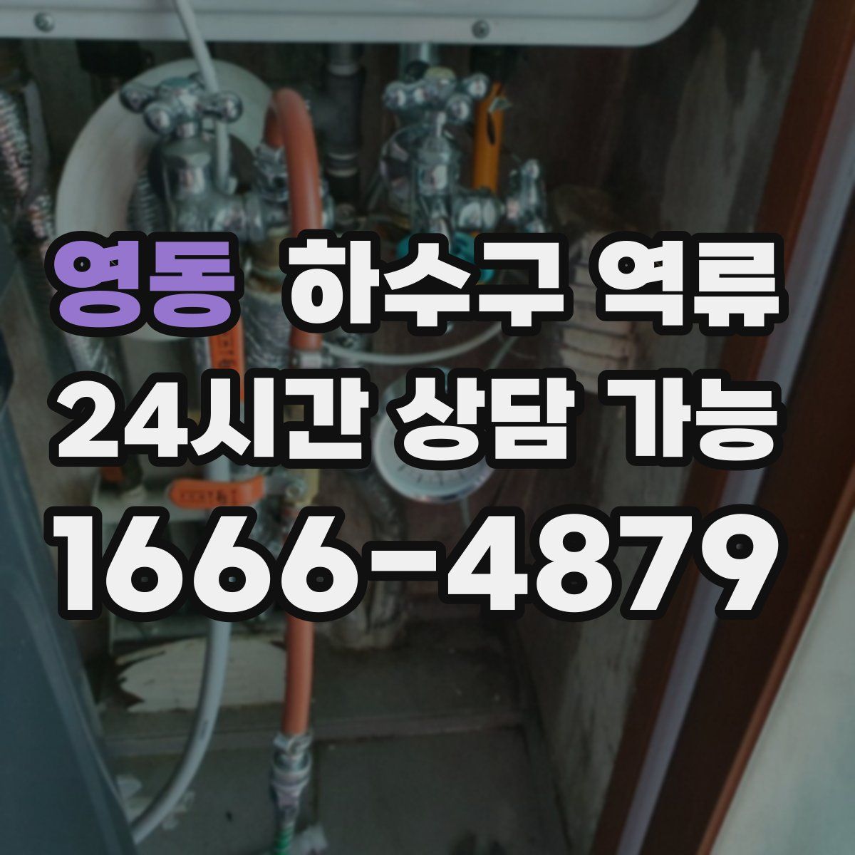 영동 하수구 역류