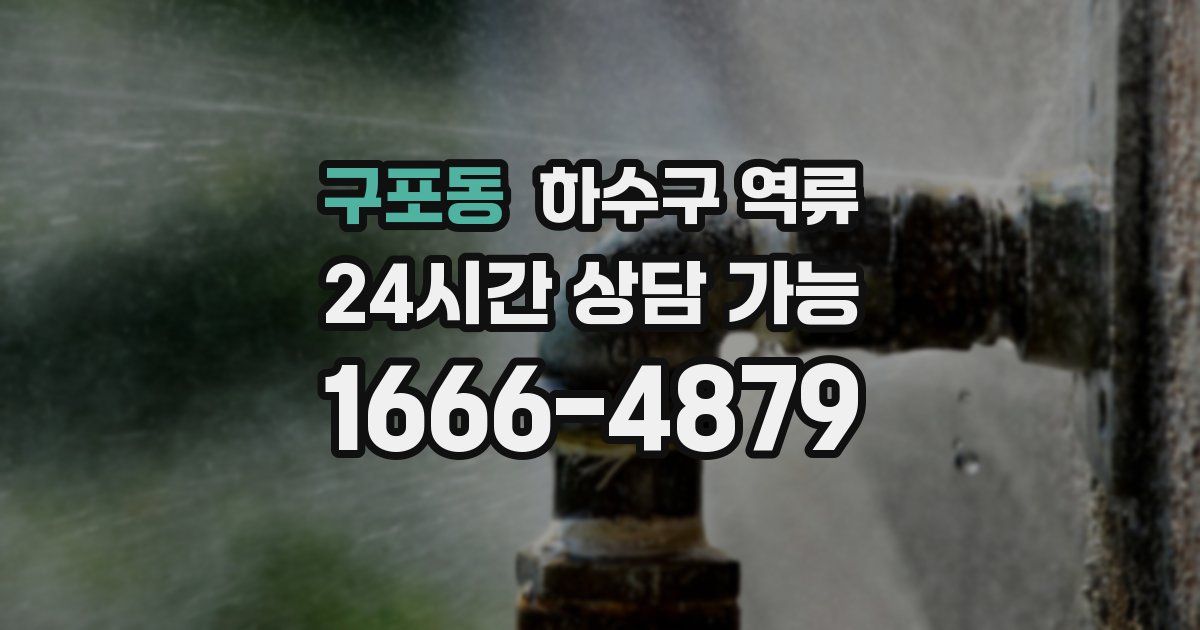 구포동 하수구 역류