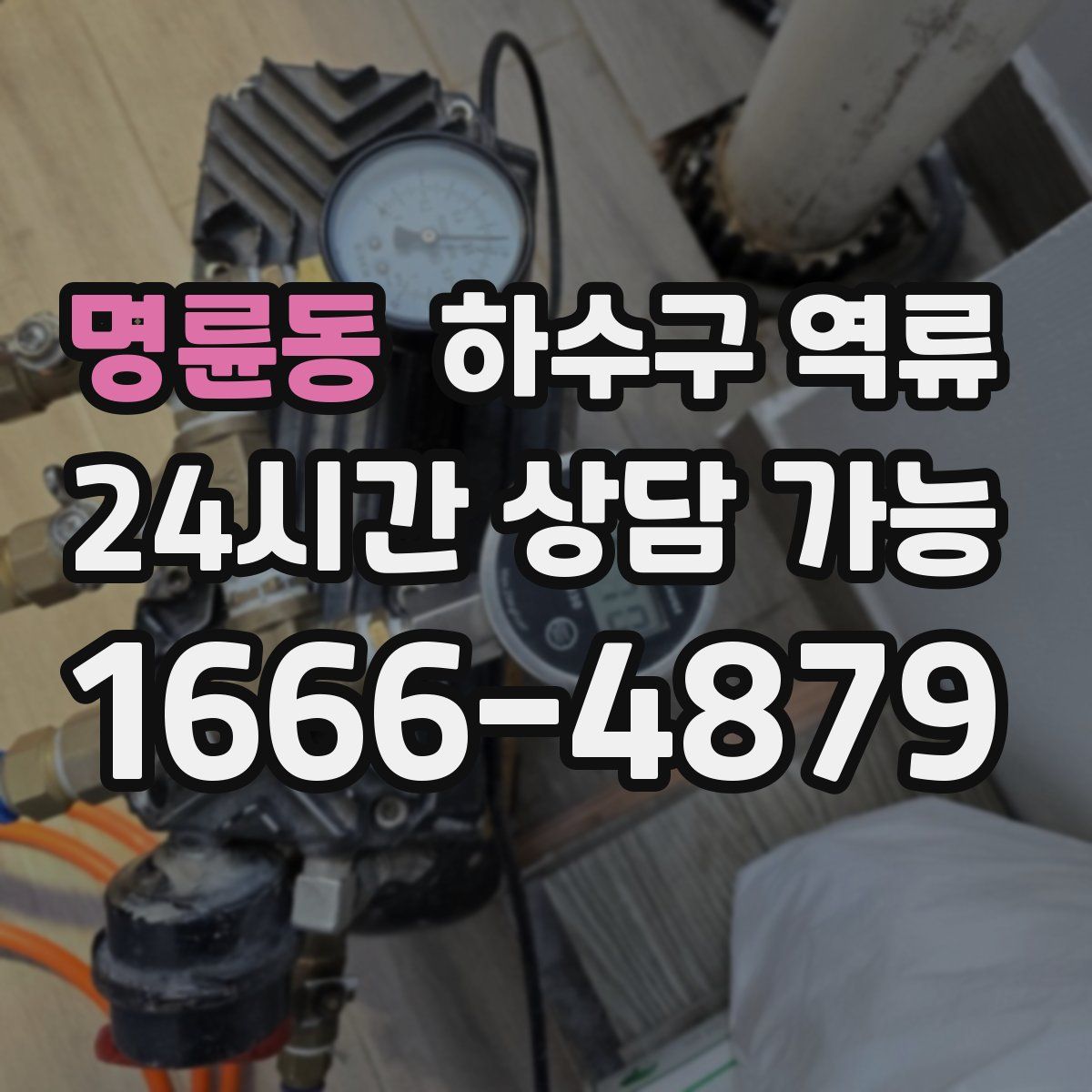 명륜동 하수구 역류