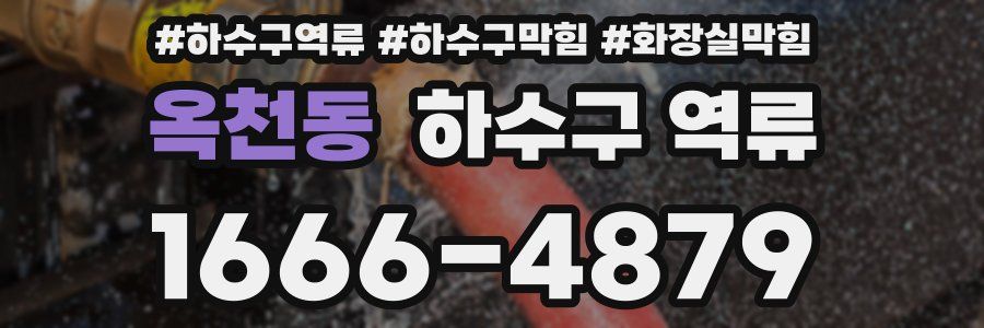옥천동 하수구 역류