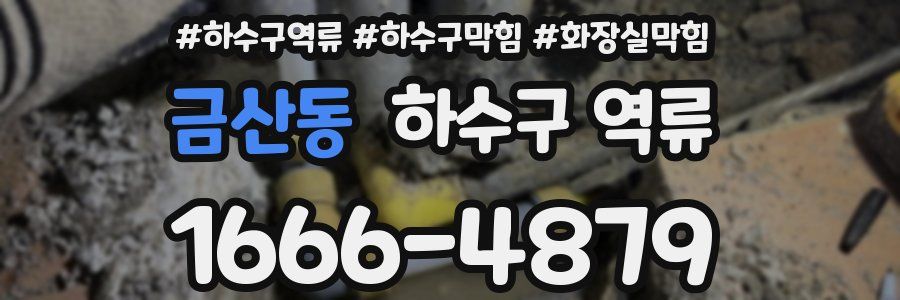 금산동 하수구 역류