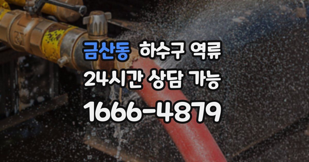 금산동 하수구 역류