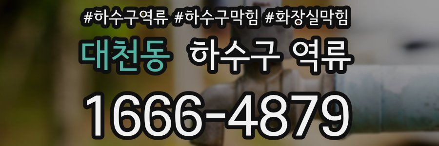 대천동 하수구 역류