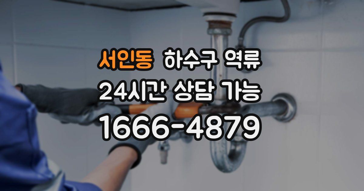 서인동 하수구 역류