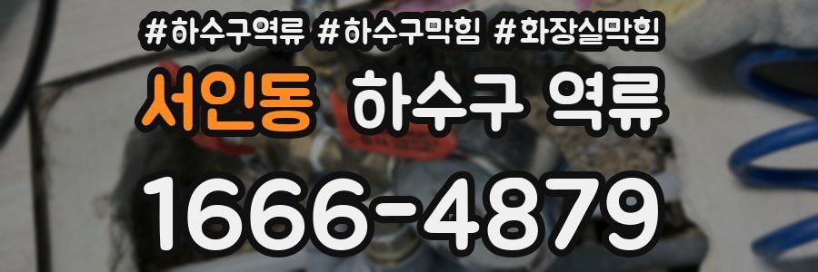 서인동 하수구 역류