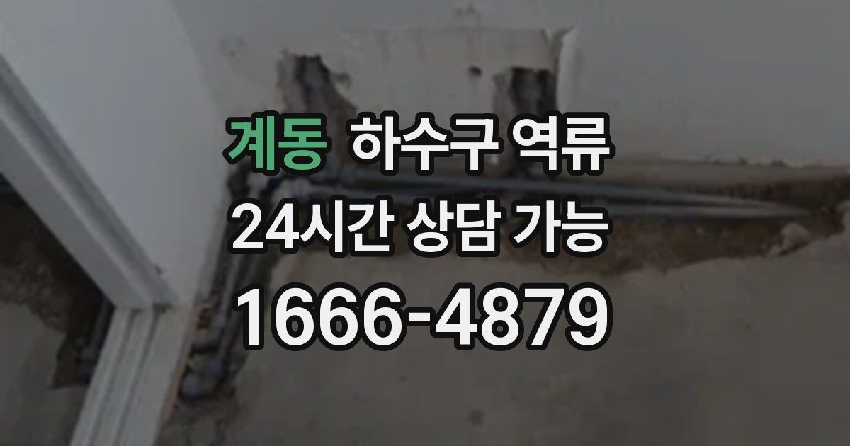 계동 하수구 역류