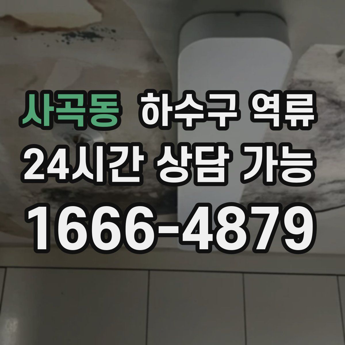 사곡동 하수구 역류