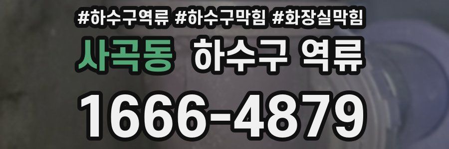 사곡동 하수구 역류