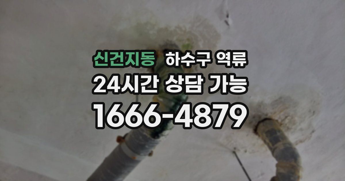 신건지동 하수구 역류