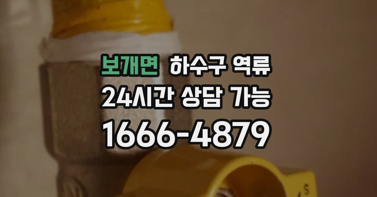 보개면 하수구 역류