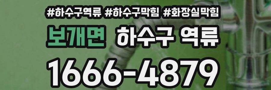 보개면 하수구 역류