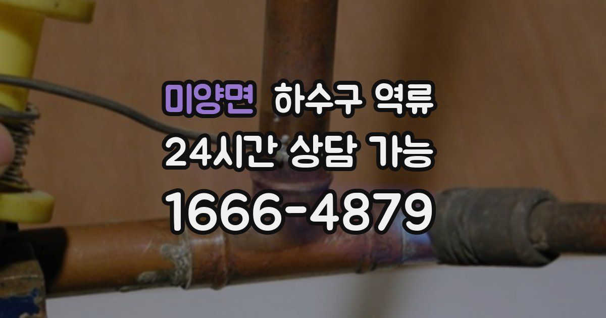 미양면 하수구 역류