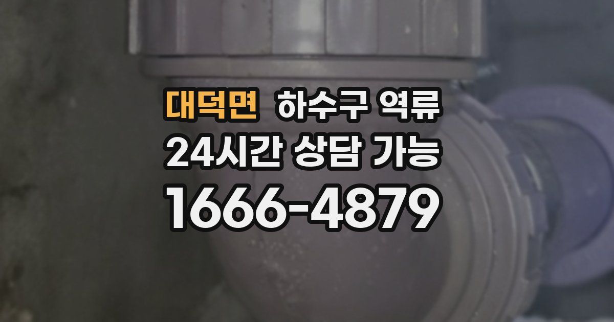 대덕면 하수구 역류