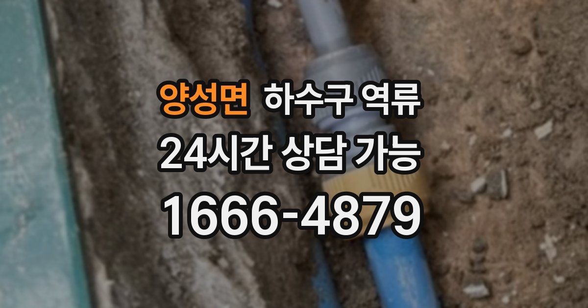 양성면 하수구 역류