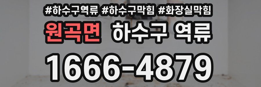 원곡면 하수구 역류