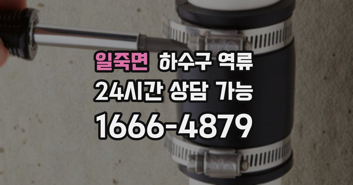 일죽면 하수구 역류