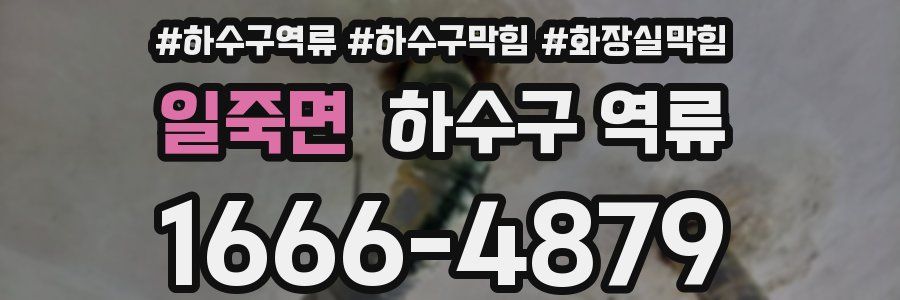 일죽면 하수구 역류