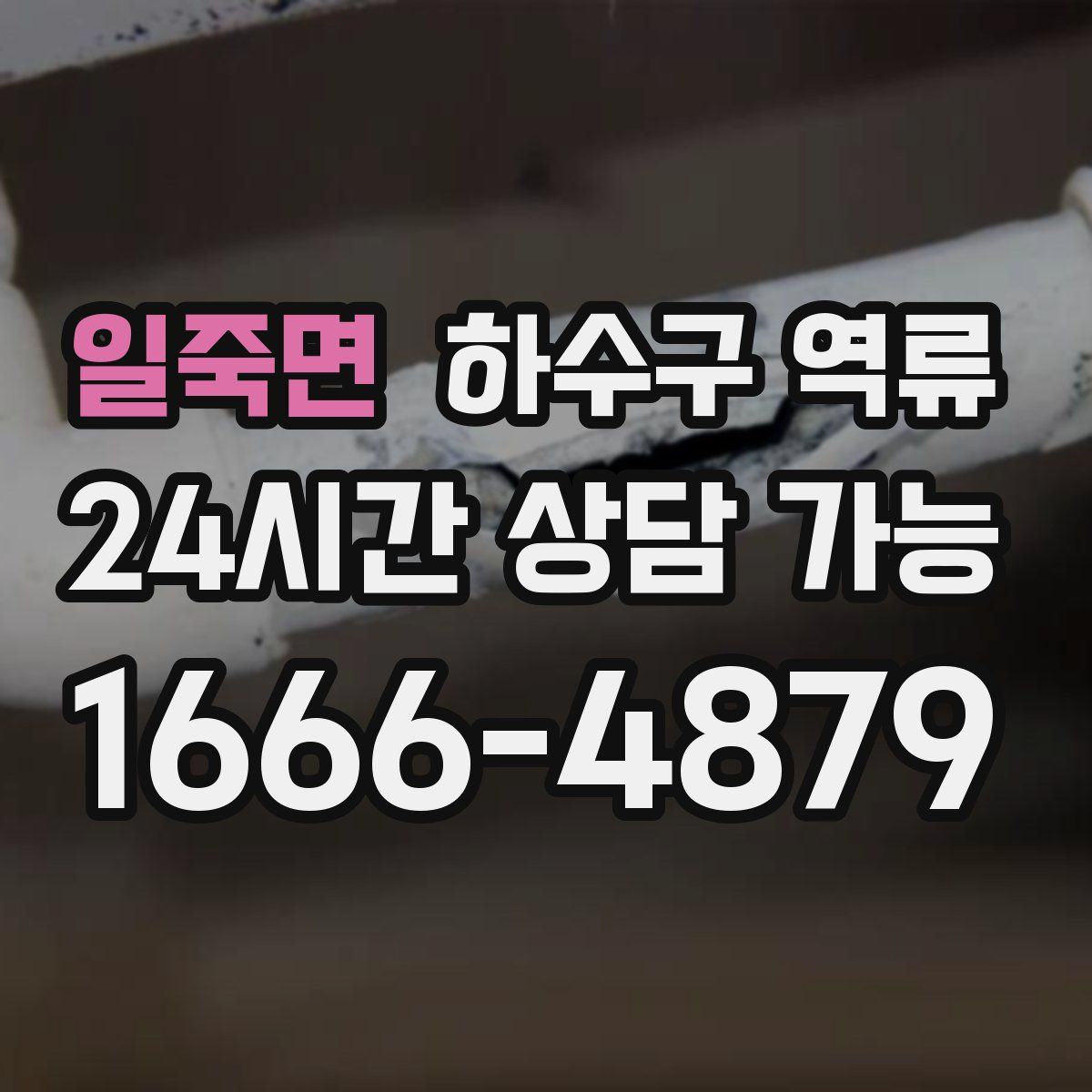 일죽면 하수구 역류