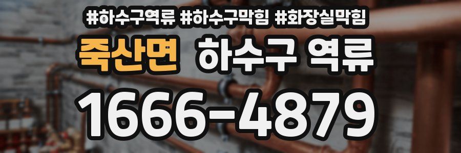 죽산면 하수구 역류