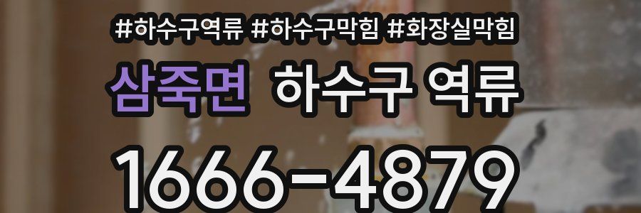 삼죽면 하수구 역류