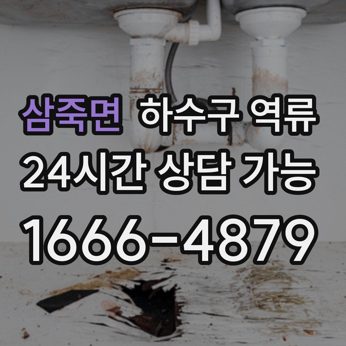 삼죽면 하수구 역류