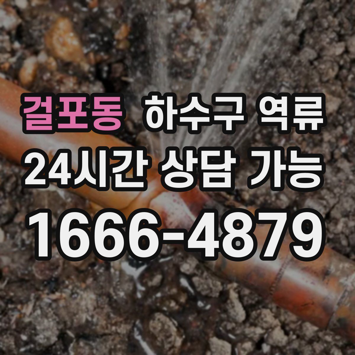 걸포동 하수구 역류