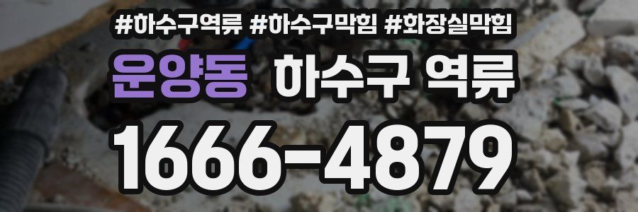 운양동 하수구 역류