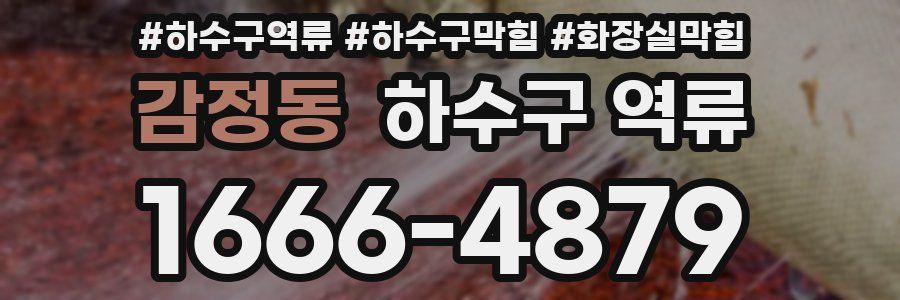 감정동 하수구 역류