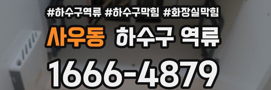 사우동 하수구 역류