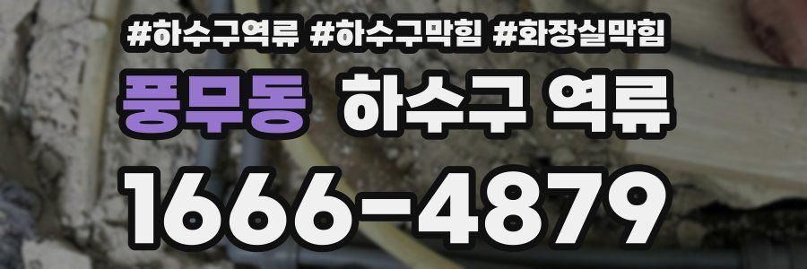 풍무동 하수구 역류