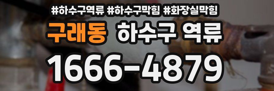 구래동 하수구 역류