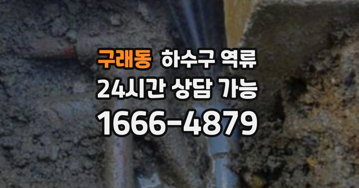 구래동 하수구 역류